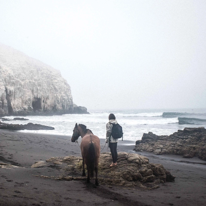 The Road to Patagonia – 28 April